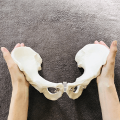 骨盤調整のイメージ